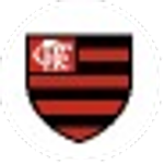 Flamengo Fan Token